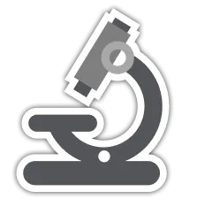 Anatomy icon