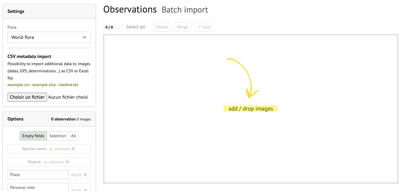 Drop your images here