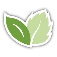 Leaf icon