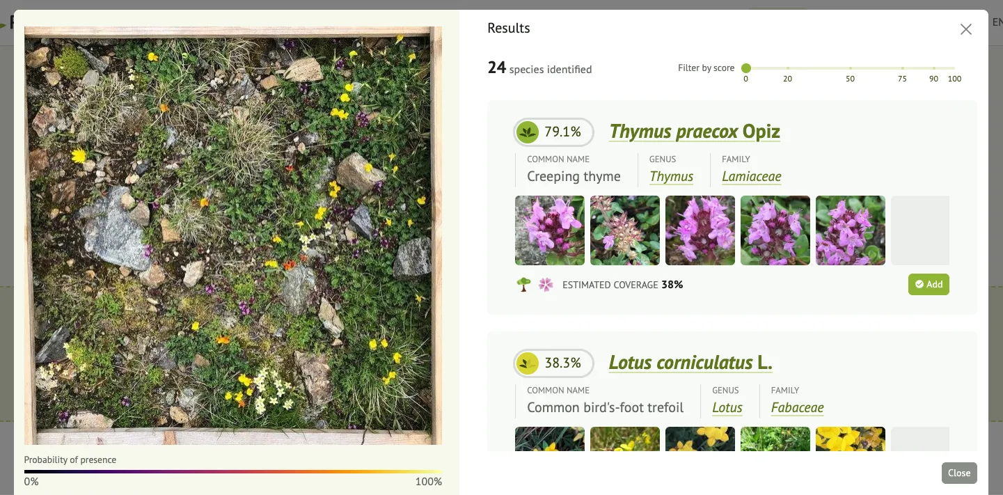 Resultados da identificação da imagem do levantamento