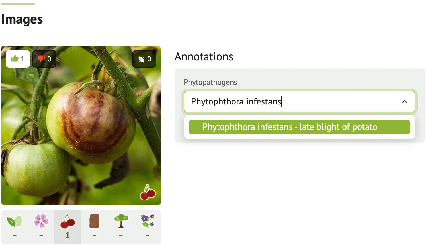 Add a disease annotation to an observation image