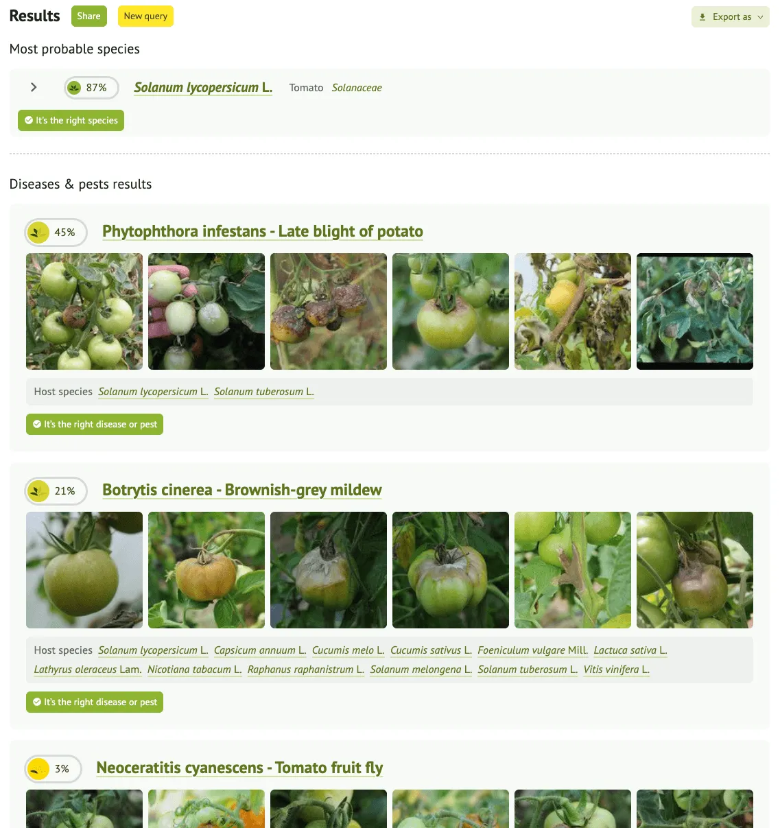 Species identification results