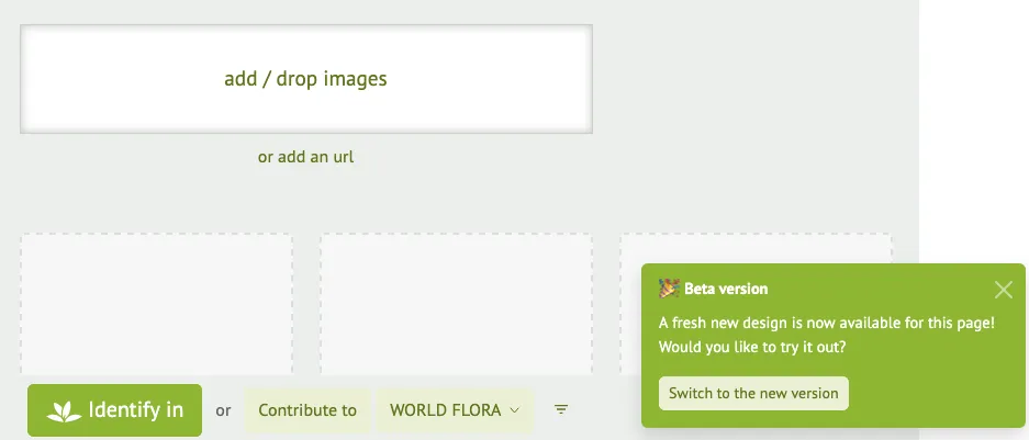Switch to beta version