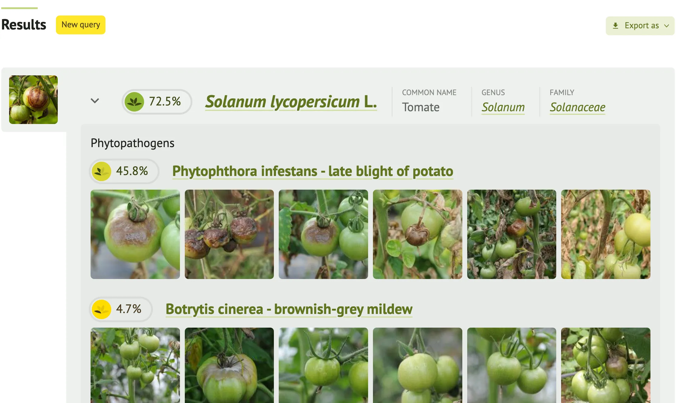 Species identification results